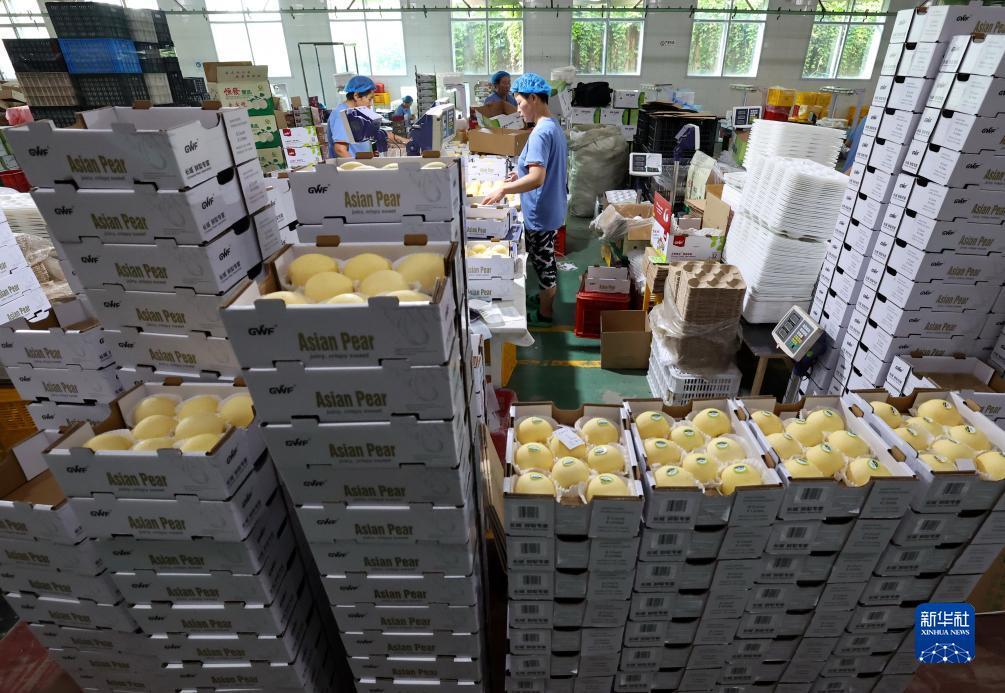 奥门金沙永久
